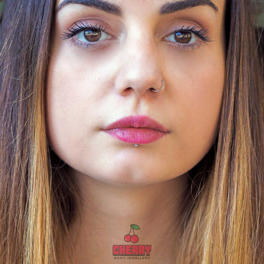 Rainbow Titanium Hinged Clicker Ring nose