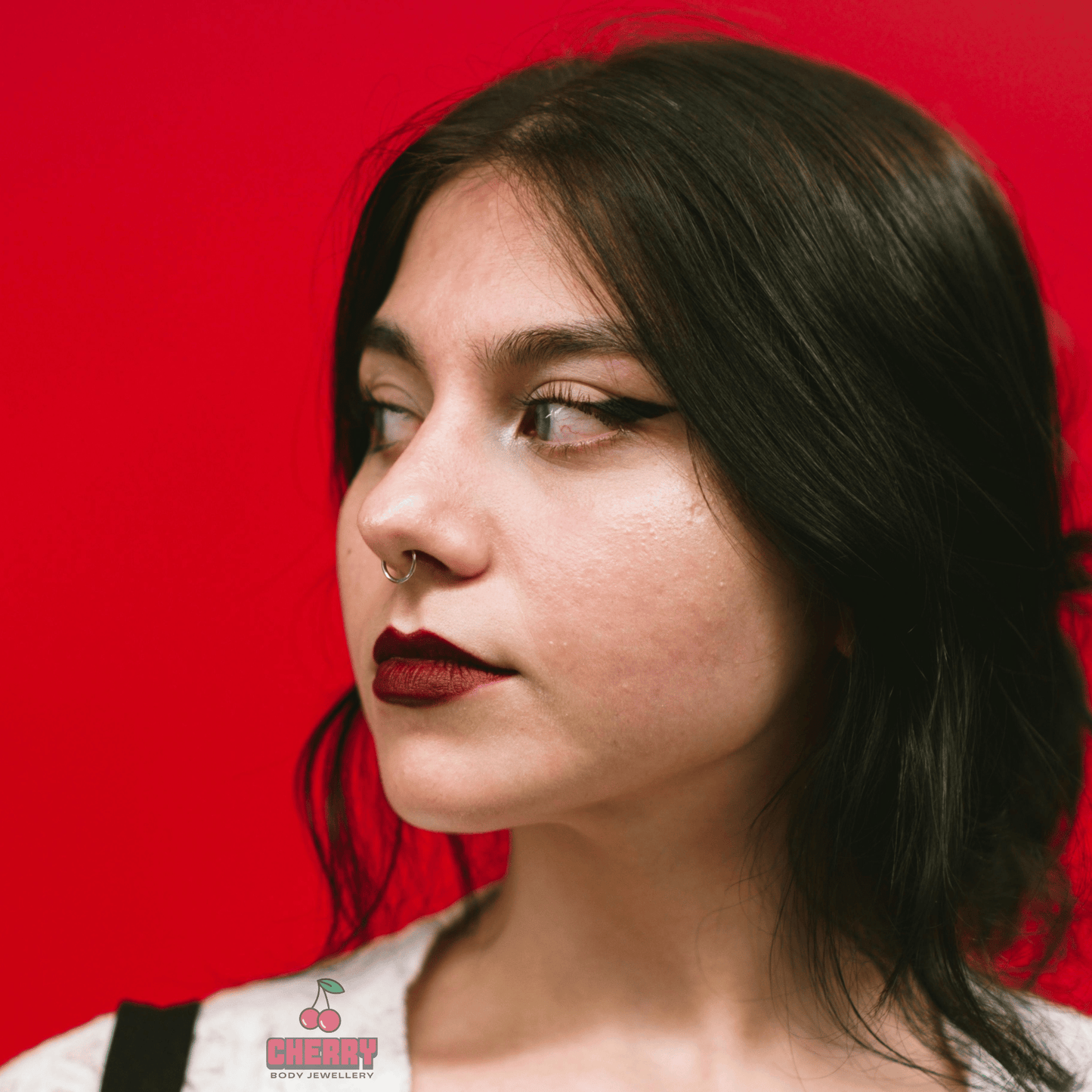 Titanium Silver Hinged Clicker Ring 20g-14g