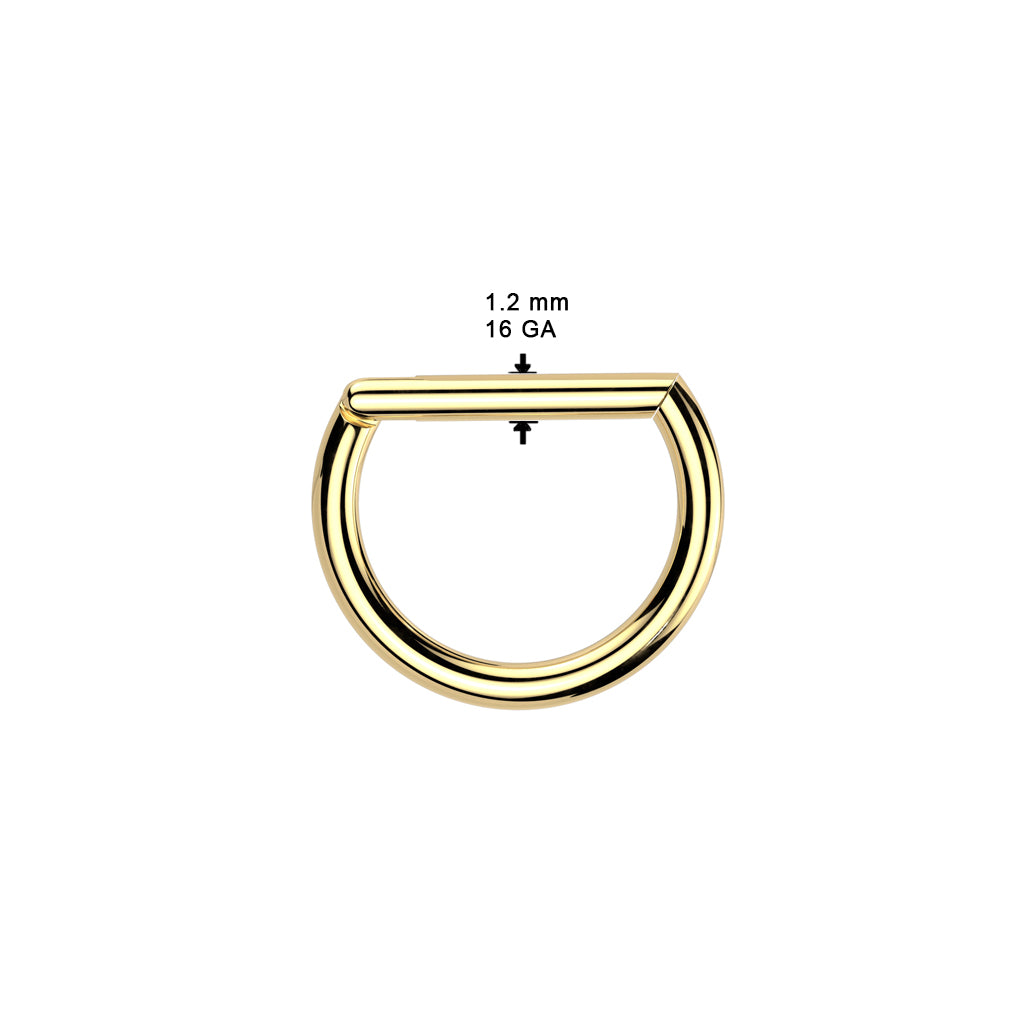 Titanium D Shaped Hinged Clicker Ring diameter
