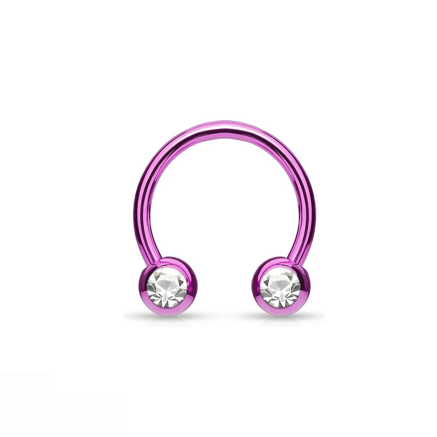 Titanium IP front facing gem curved horseshoe barbell purple