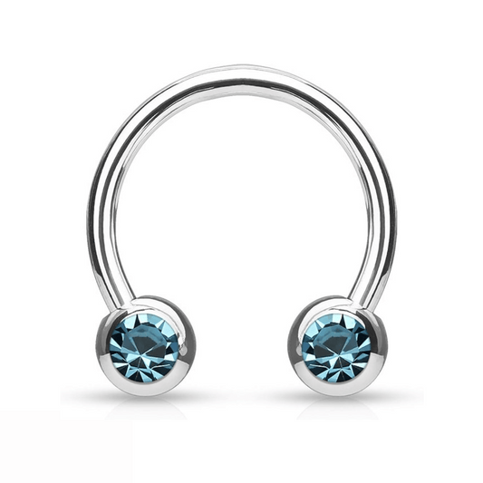 Front facing gem horseshoe Aqua Blue