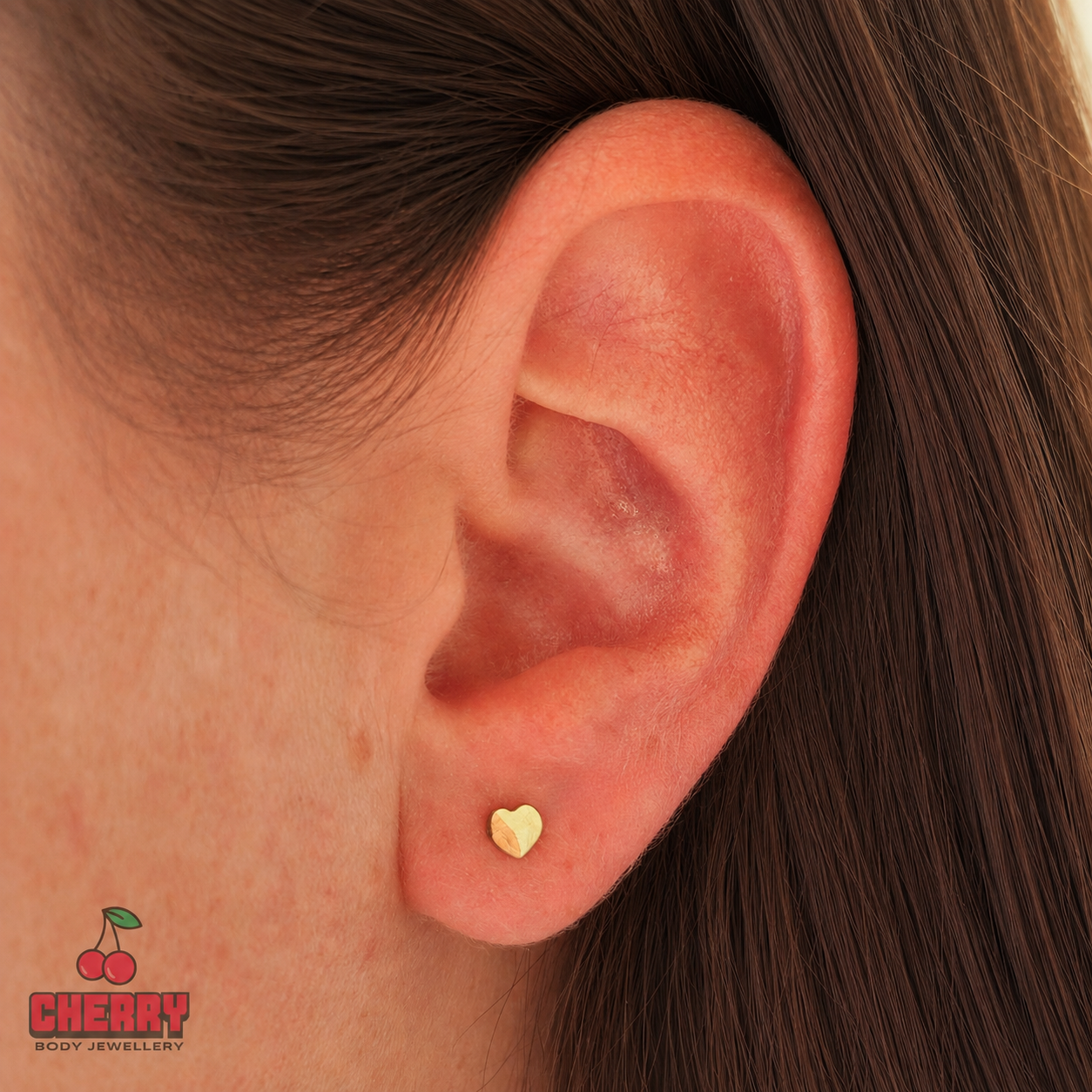 Titanium Gold Heart Stud Earrings (pair)