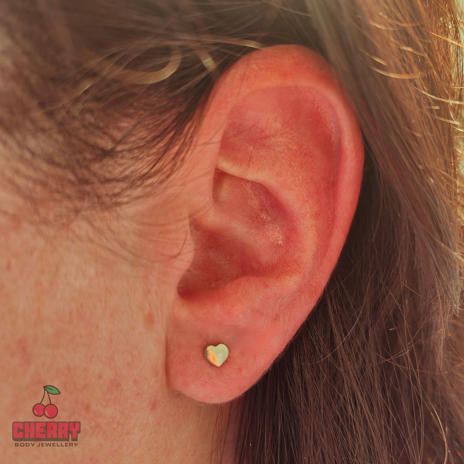 Titanium Silver Heart Stud Earrings model