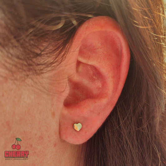 Titanium Silver Heart Stud Earrings model