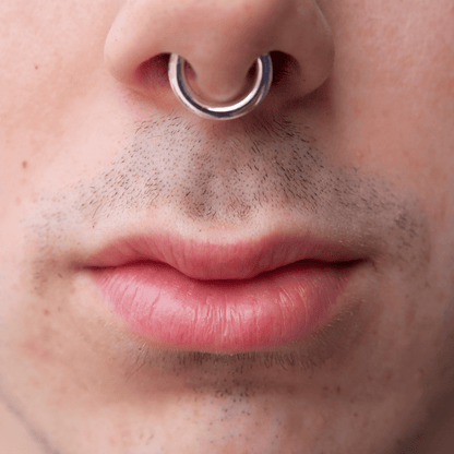 Titanium Silver Hinged Clicker Ring Large Gauge 12g-00g